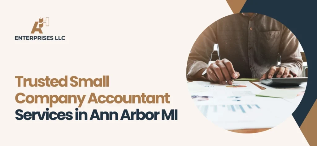 Small Company Accountant Services in Ann Arbor MI